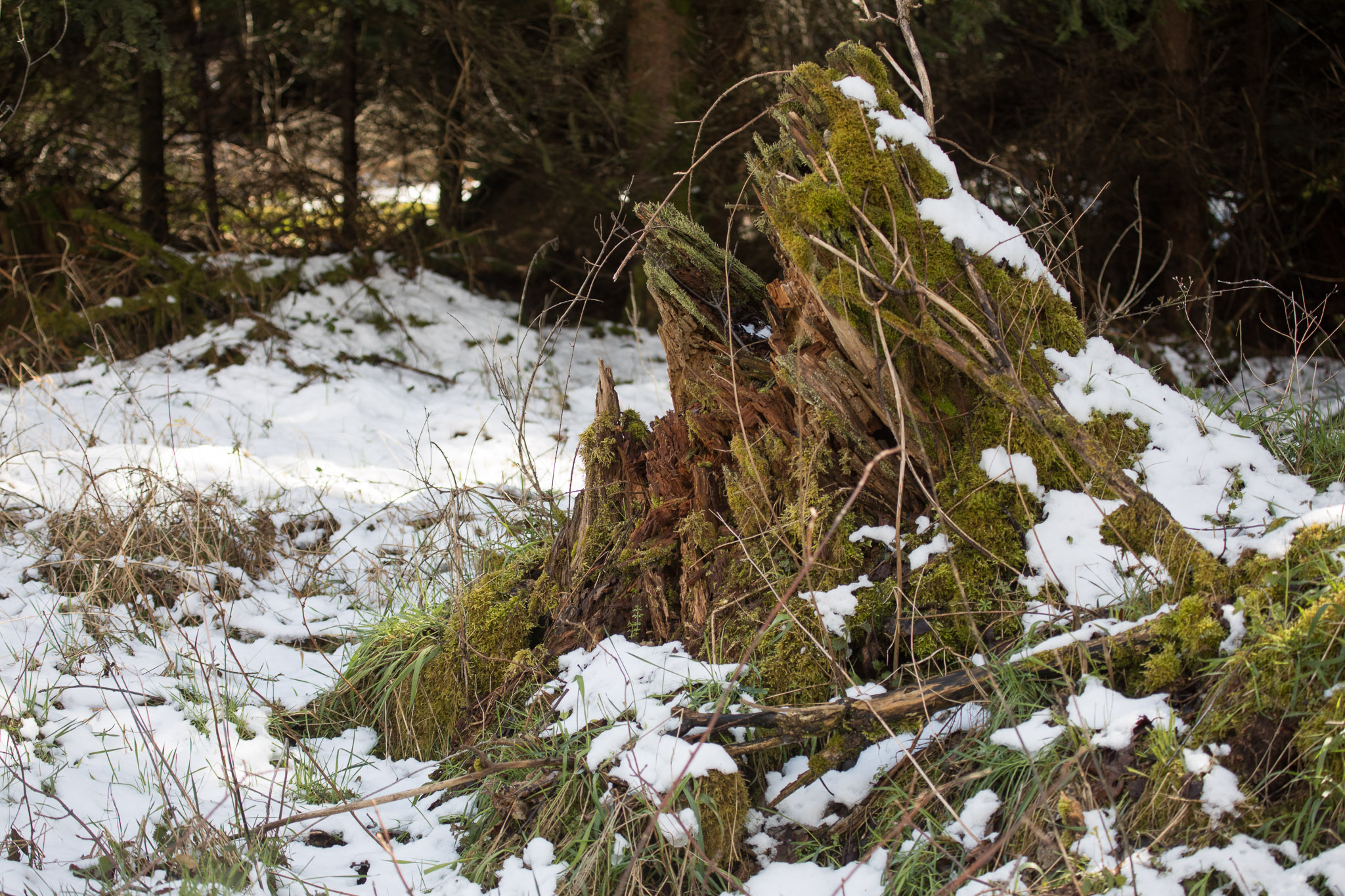 20220409150905 RD4 6477